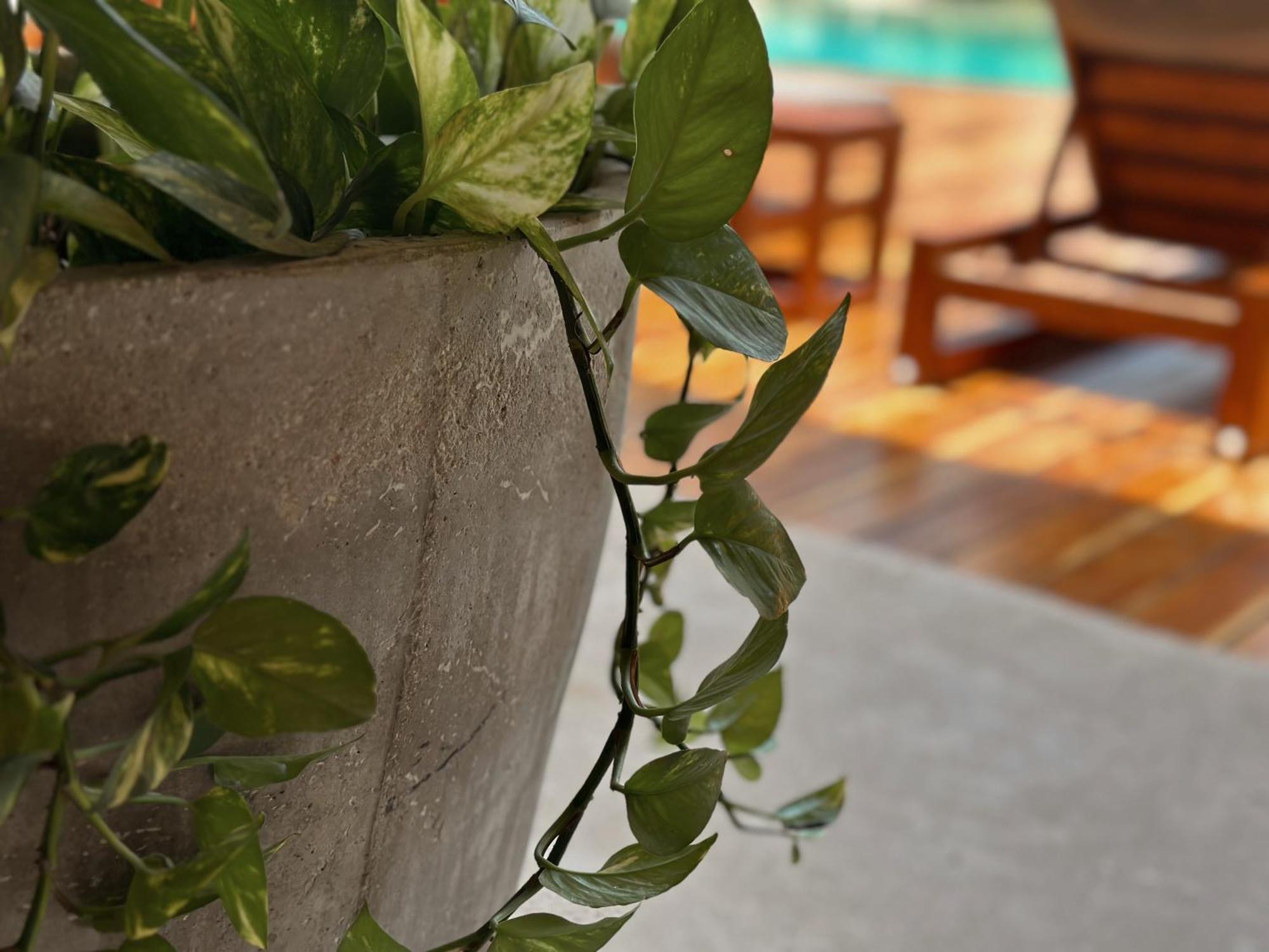 Ophelia Tulum Condo In Aldea Zama Екстериор снимка