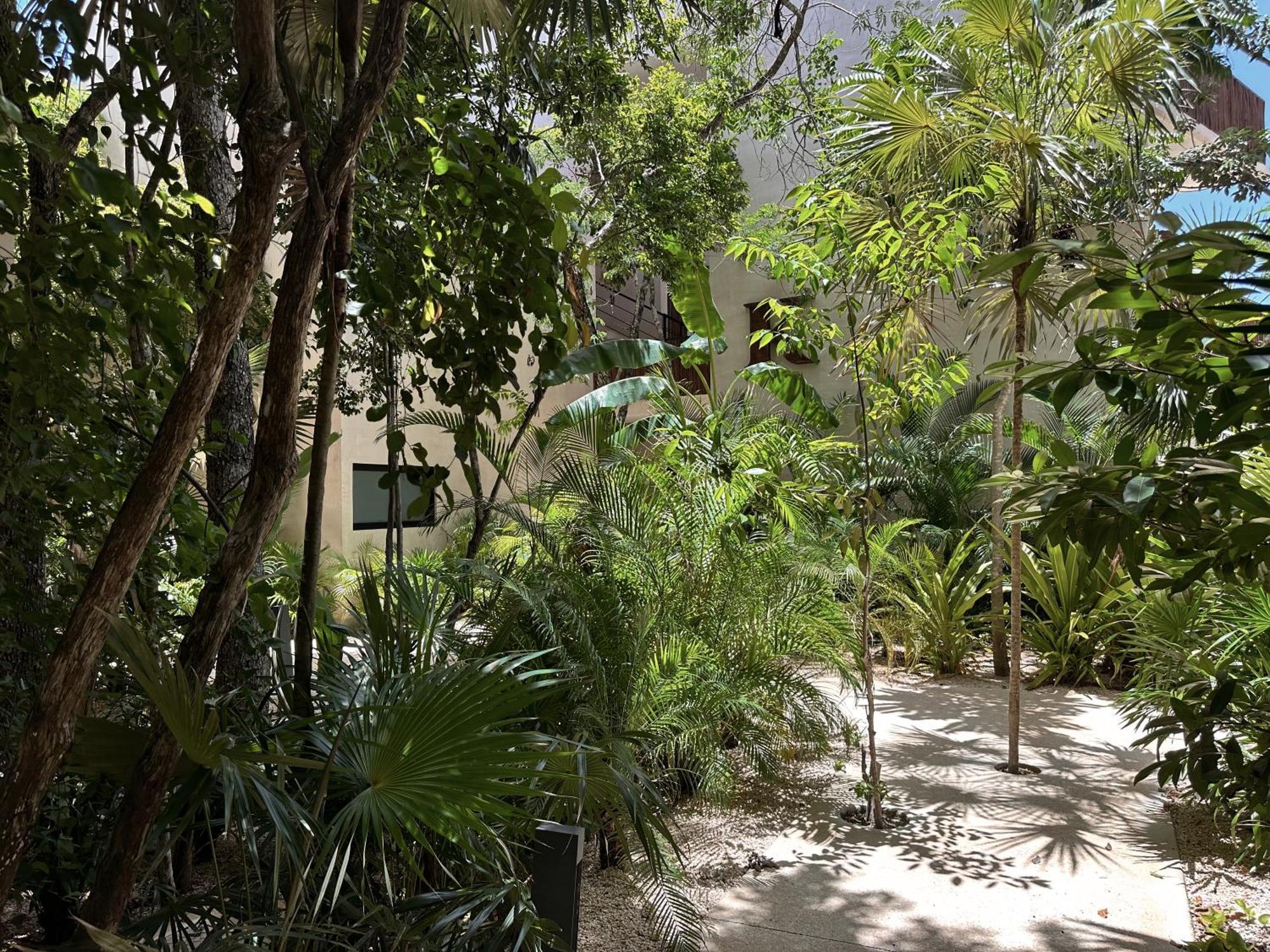 Ophelia Tulum Condo In Aldea Zama Екстериор снимка